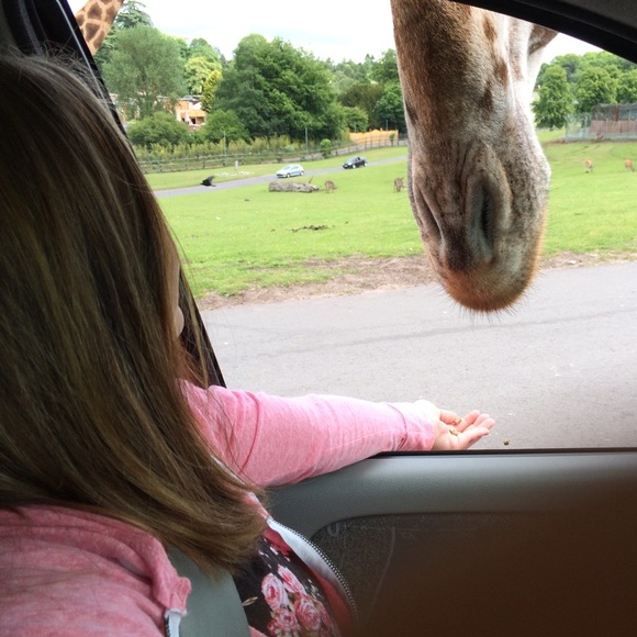 Meet your Posher, Courteney - Picture 5 of 5